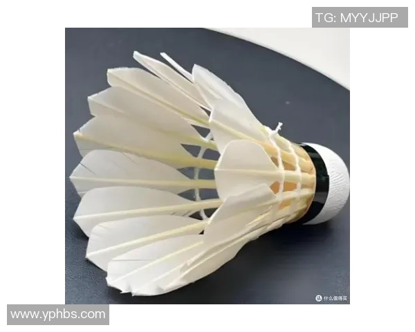 羽毛球装备选购指南：护具推荐与使用技巧分享