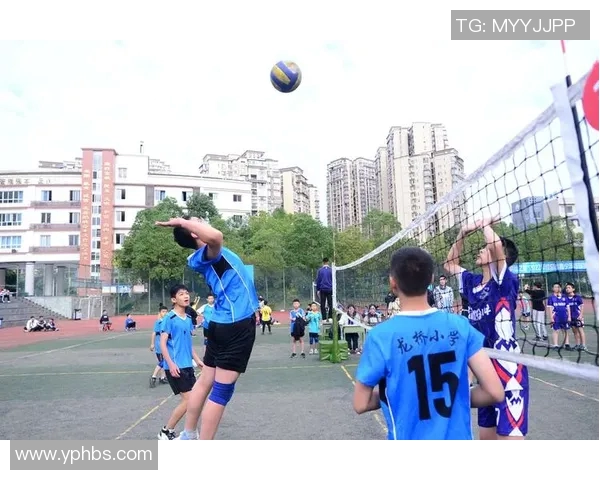 成都排球队在世界锦标赛中的拼搏历程与荣耀时刻回顾 成都排球队在世界锦标赛中的拼搏历程与荣耀时刻回顾