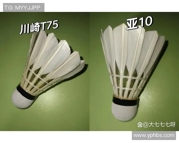 羽毛球装备选购指南:必备训练器材与推荐品牌详解