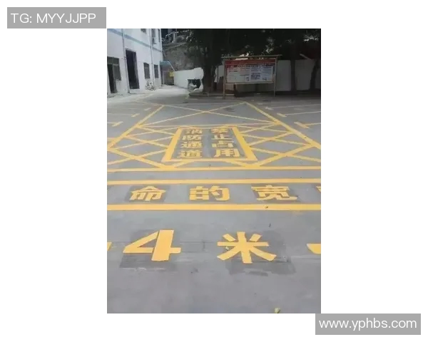 重庆排球队创新高排球配合排名再创佳绩引发关注 重庆排球队创新高排球配合排名再创佳绩引发关注