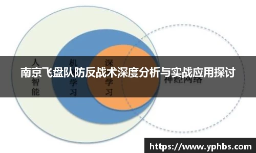 南京飞盘队防反战术深度分析与实战应用探讨