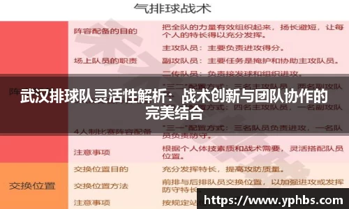 武汉排球队灵活性解析：战术创新与团队协作的完美结合